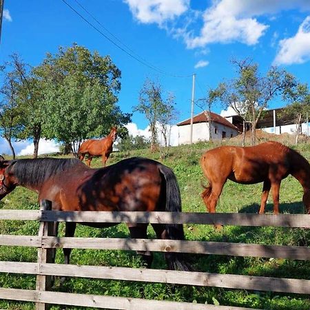 Poljoprivredno Turisticko Domacinstvo Deguric Διαμέρισμα Βάλιεβο Εξωτερικό φωτογραφία
