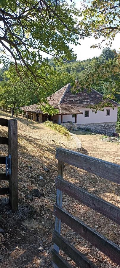 Poljoprivredno Turisticko Domacinstvo Deguric Διαμέρισμα Βάλιεβο Εξωτερικό φωτογραφία