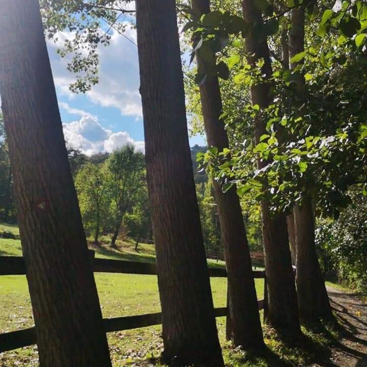 Poljoprivredno Turisticko Domacinstvo Deguric Διαμέρισμα Βάλιεβο Εξωτερικό φωτογραφία
