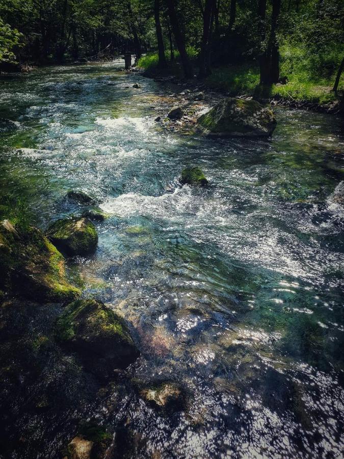 Poljoprivredno Turisticko Domacinstvo Deguric Διαμέρισμα Βάλιεβο Εξωτερικό φωτογραφία