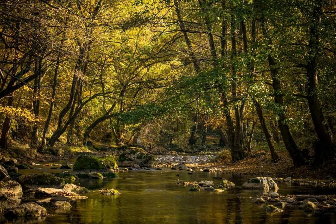 Poljoprivredno Turisticko Domacinstvo Deguric Διαμέρισμα Βάλιεβο Εξωτερικό φωτογραφία