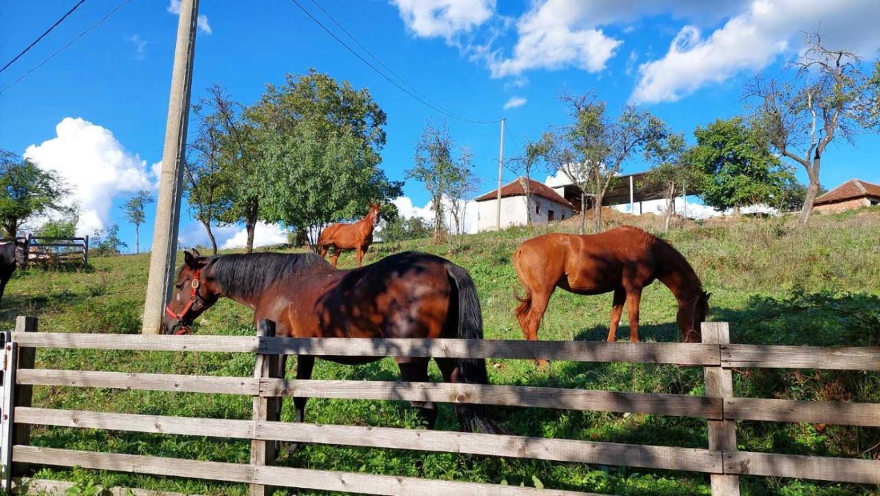 Poljoprivredno Turisticko Domacinstvo Deguric Διαμέρισμα Βάλιεβο Εξωτερικό φωτογραφία